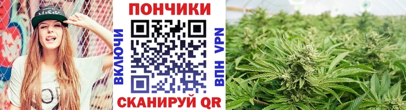 Где купить наркоту Медногорск КОКАИН МАРИХУАНА Меф А ПВП Гашиш