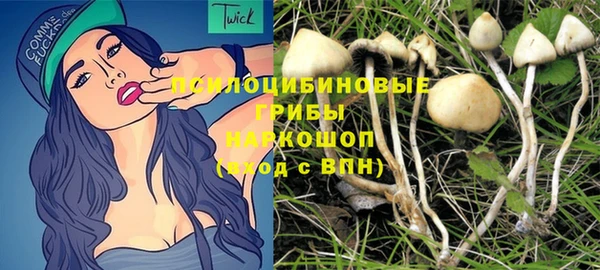 COCAINE Богородицк