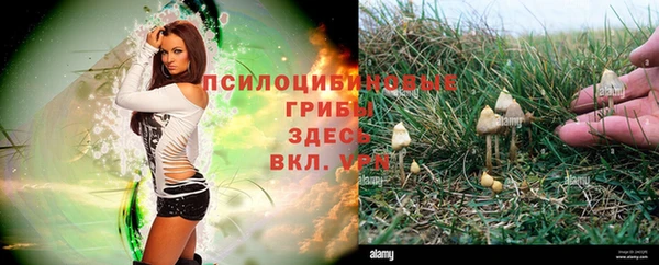марихуана Богородск