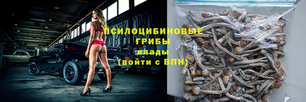 прущий лед Бронницы